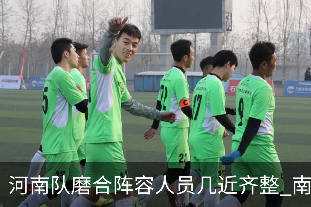 河南队磨合阵容人员几近齐整 南基一剑指中超前六